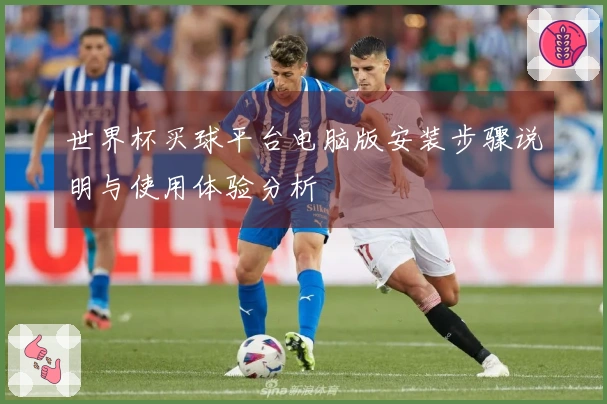 世界杯买球平台电脑版安装步骤说明与使用体验分析
