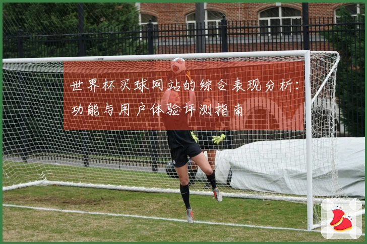 世界杯买球网站的综合表现分析：功能与用户体验评测指南