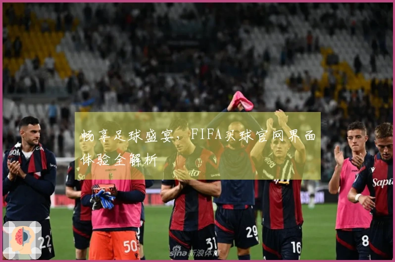 畅享足球盛宴，FIFA买球官网界面体验全解析